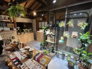 九州植物ショップ紹介｜植物と暮らし