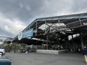 九州の植物ショップ紹介｜n-BASEMENT