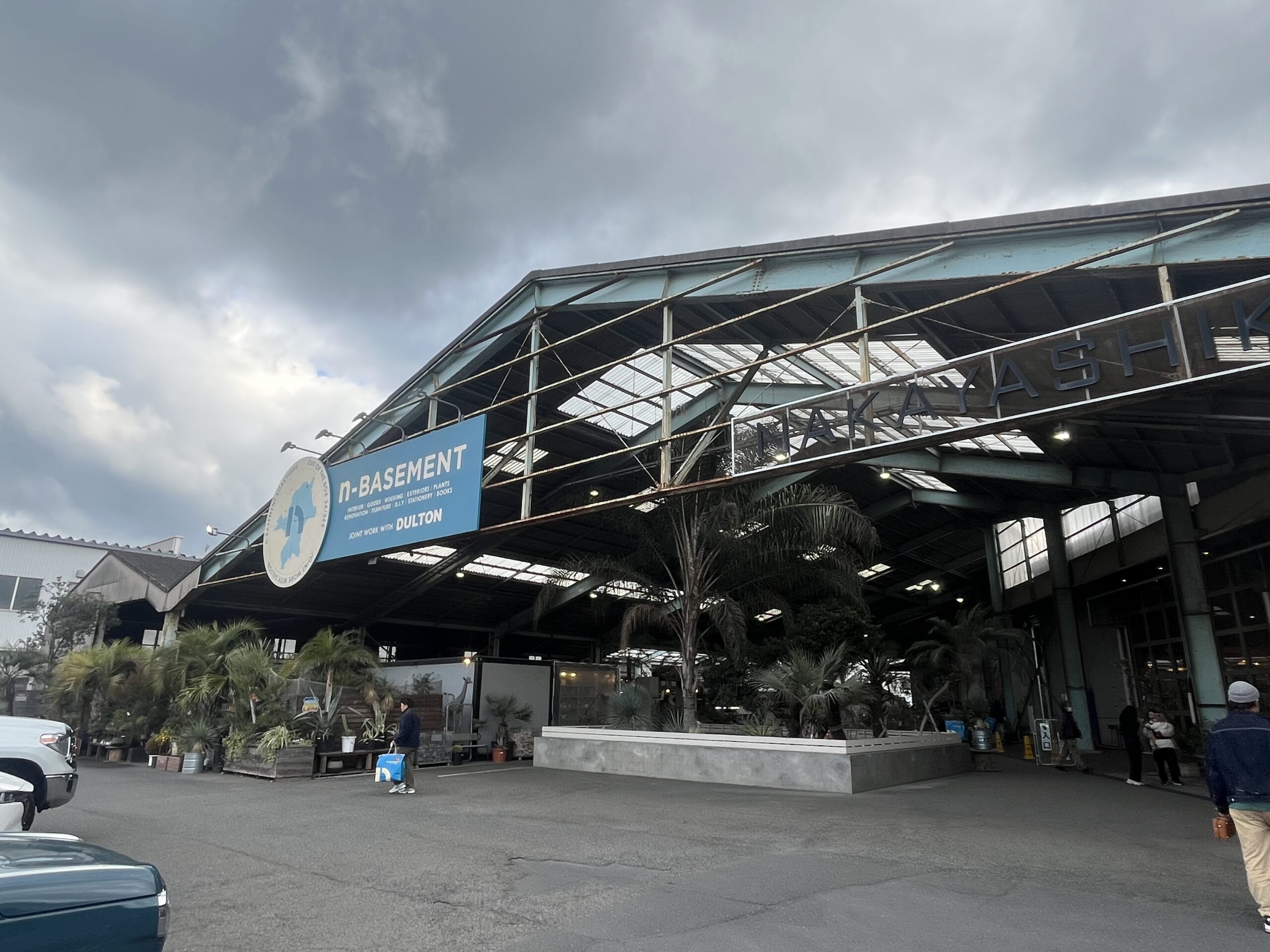 九州の植物ショップ紹介｜n-BASEMENT