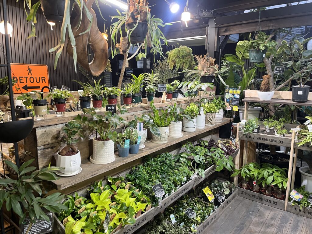 九州の植物ショップ紹介|福岡エフェクト