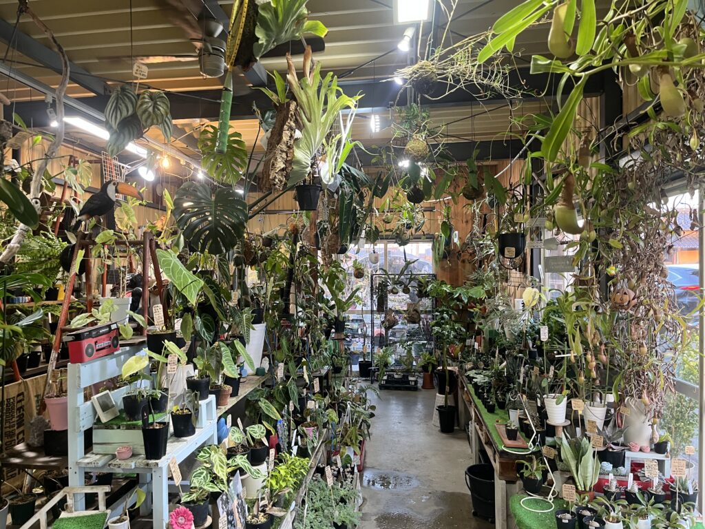 植物ショップ紹介｜ガーデンショップアナベル