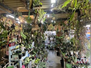 植物ショップ紹介｜ガーデンショップアナベル