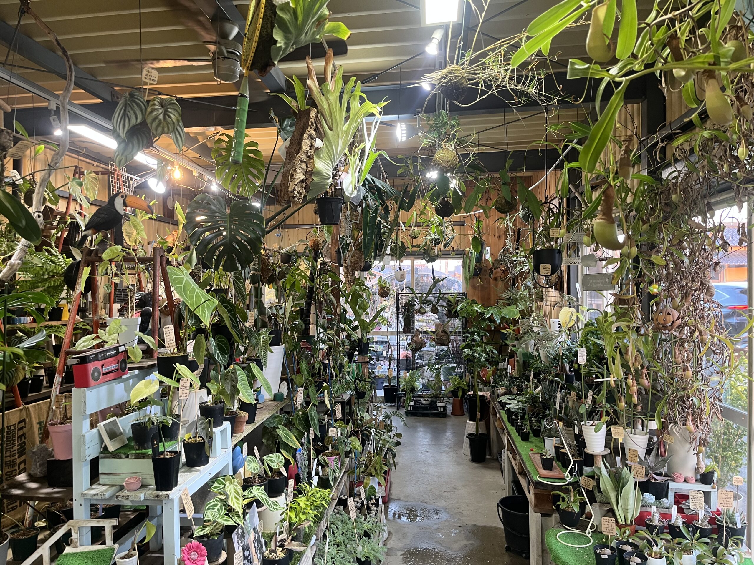 植物ショップ紹介｜ガーデンショップアナベル