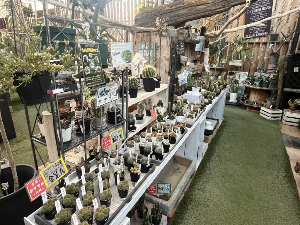 植物紹介MAP｜だいいちえんげい