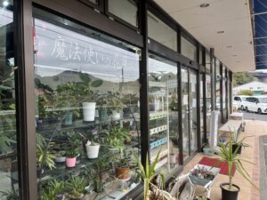 九州植物ショップ紹介｜魔法使いの花屋さん