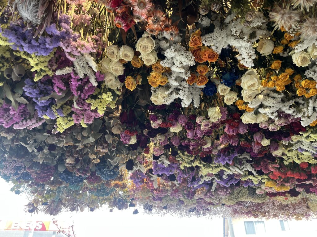 九州植物ショップ紹介MAP｜花西海