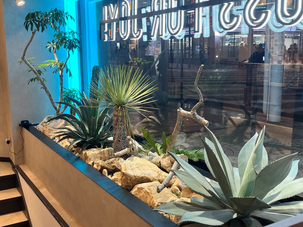 九州植物ショップ紹介｜MARUTAKE