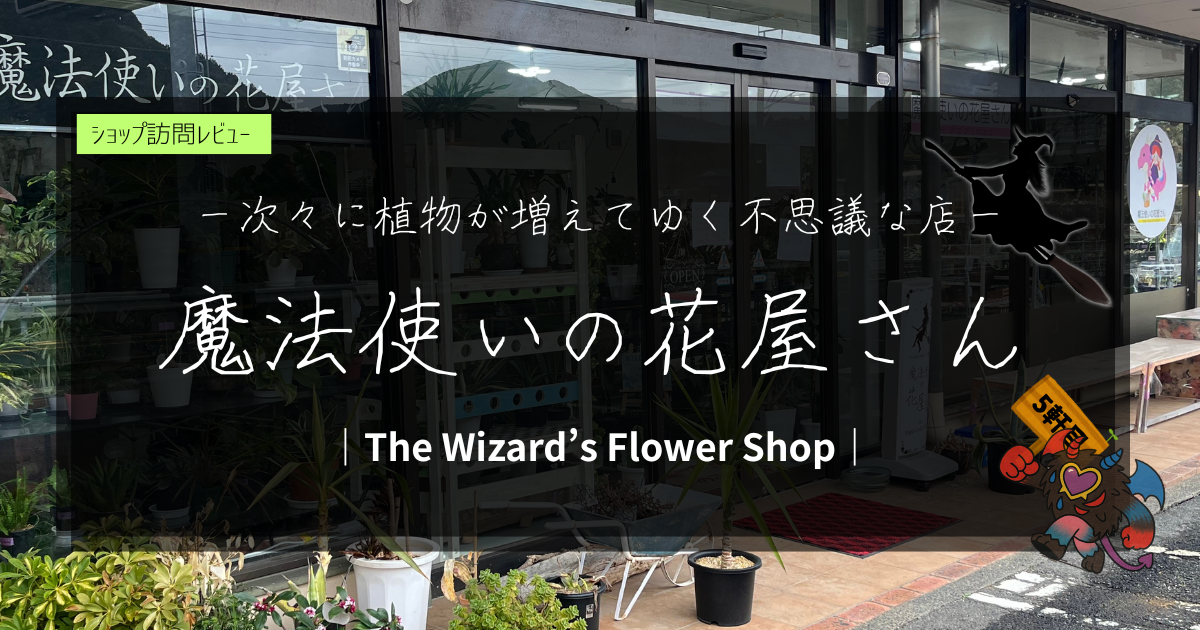 九州植物ショップ紹介|魔法使いの花屋さん
