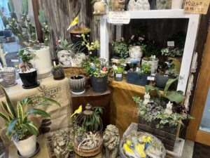 九州植物ショップMAP｜グリーンズ中里