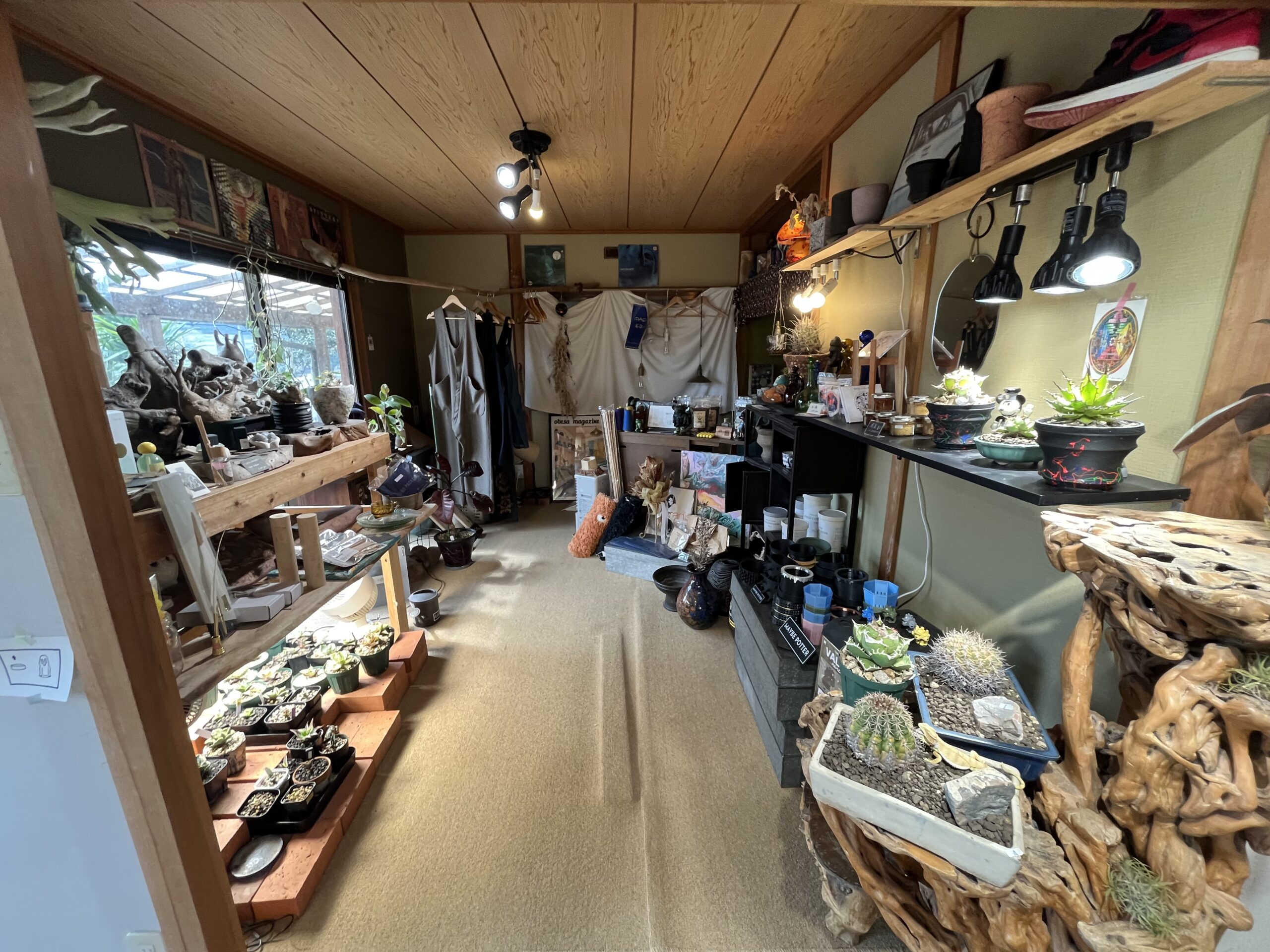 九州植物ショップ紹介｜Keritol