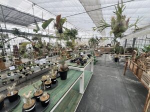 九州植物ショップ紹介MAP｜Oita Plants Farm