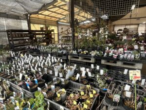 九州植物ショップ紹介MAP｜プレーリーハウス