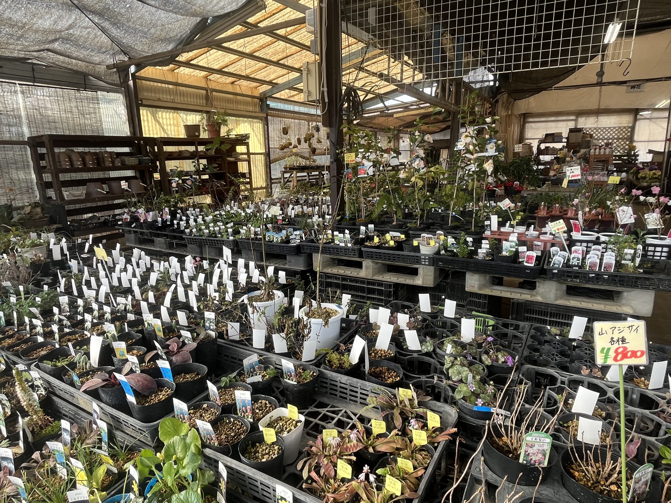 九州植物ショップ紹介MAP｜プレーリーハウス