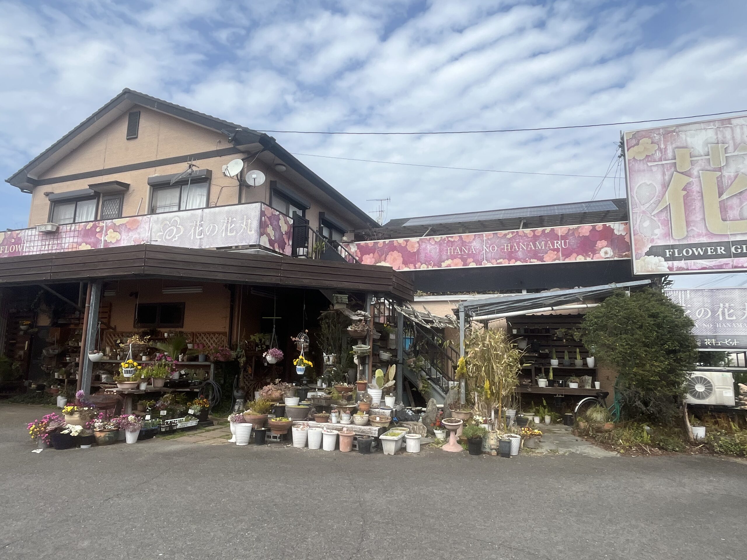 九州植物ショップ紹介｜花の花丸
