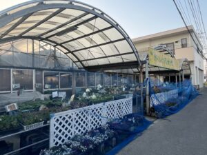 九州植物ショップ紹介MAP｜グリーンハウス八ケ代