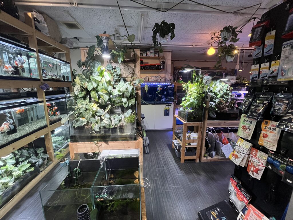 九州植物ショップ紹介MAP｜ながた金魚苑