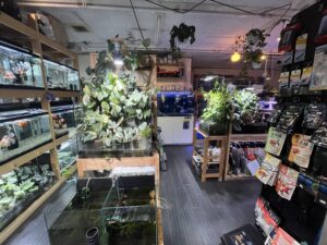 九州植物ショップ紹介MAP｜ながた金魚苑