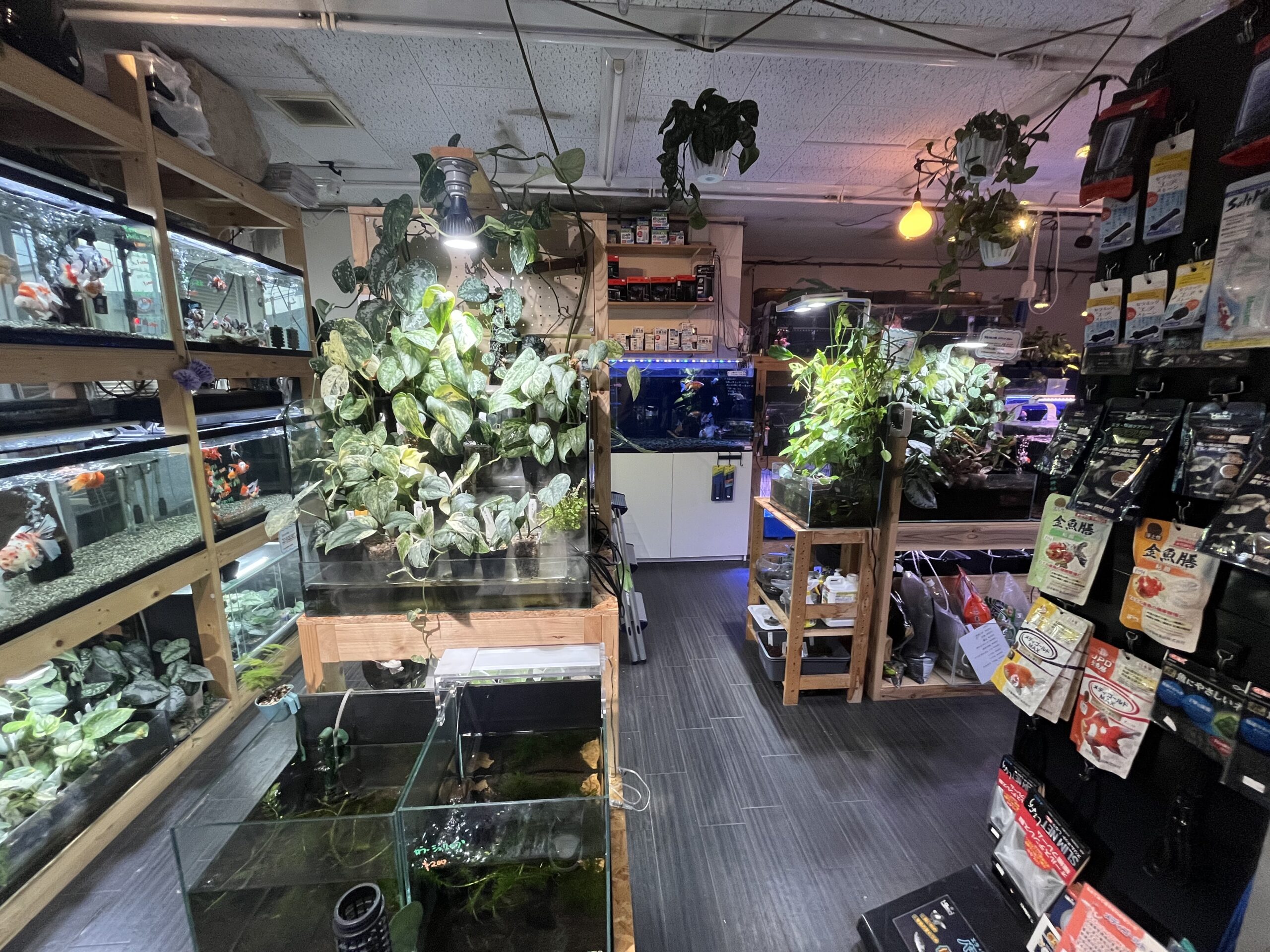 九州植物ショップ紹介MAP｜ながた金魚苑