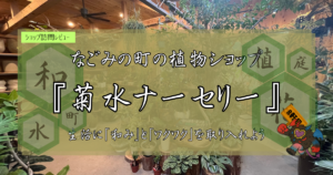 九州植物ショップ紹介｜菊水ナーセリー