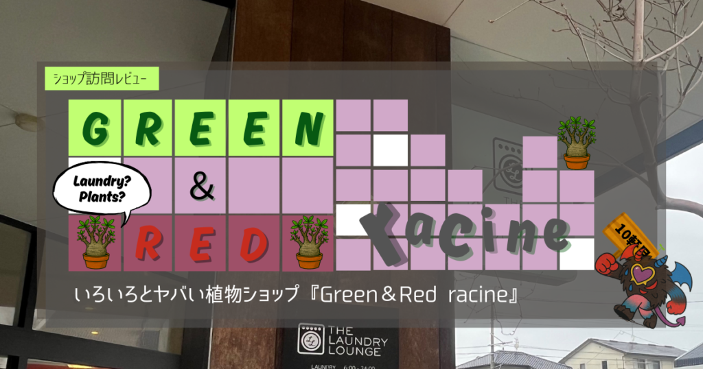 九州植物ショップ紹介｜Green＆Red racine