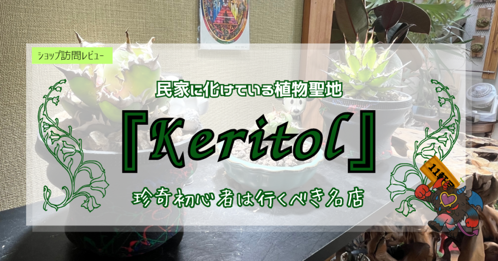 九州植物ショップ紹介｜Keritol