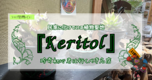 九州植物ショップ紹介｜Keritol