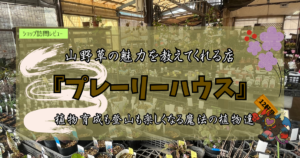九州植物ショップ紹介｜プレーリーハウス