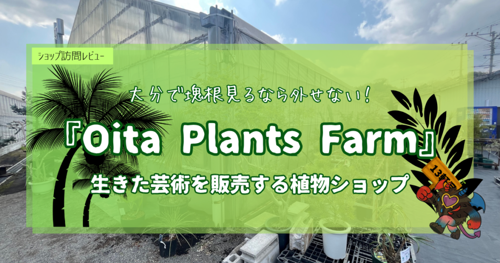 九州植物ショップ紹介｜Oita Plants Farm