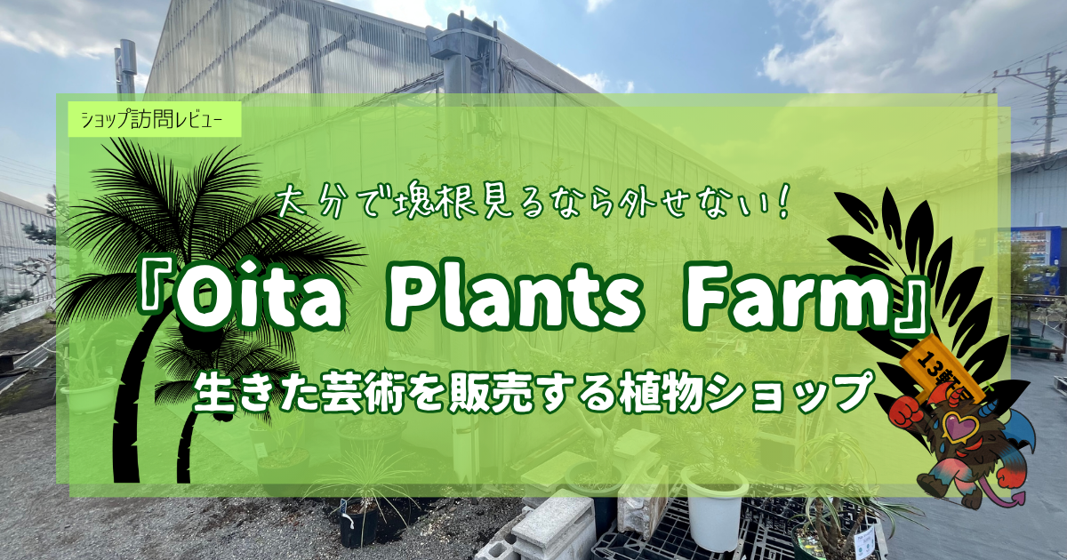 九州植物ショップ紹介｜Oita Plants Farm