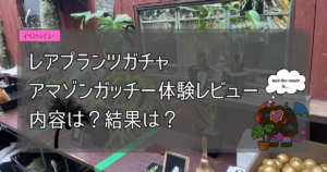 植物イベント紹介｜アマゾンガッチー