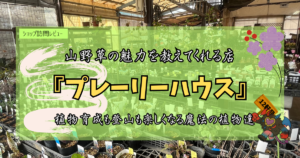 九州植物ショップ紹介｜プレーリーハウス