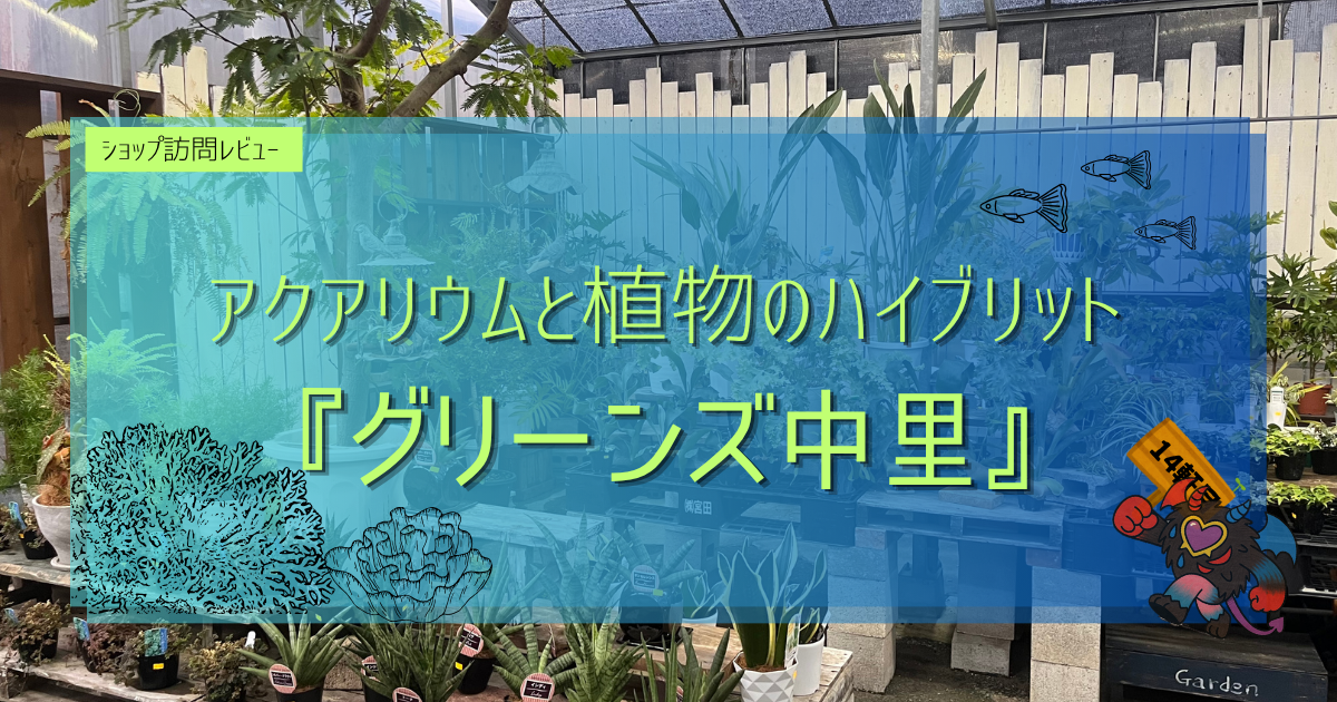 九州植物ショップ紹介|グリーンズ中里