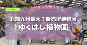九州植物ショップ紹介｜ゆくはし植物園