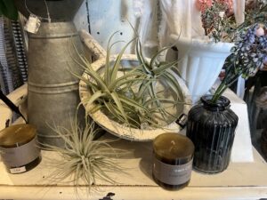 九州植物ショップ紹介MAP｜Friend Flower