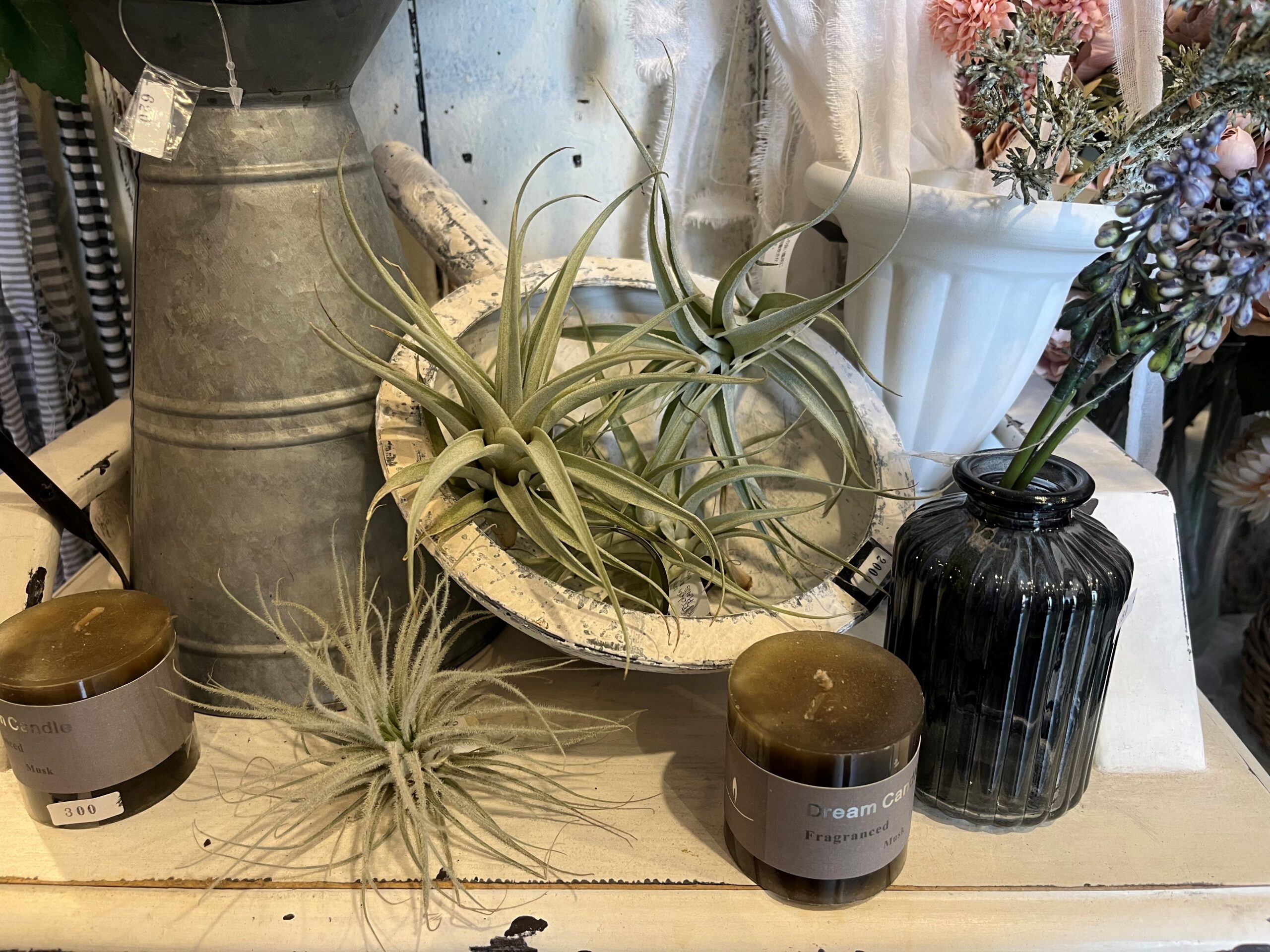 九州植物ショップ紹介MAP｜Friend Flower