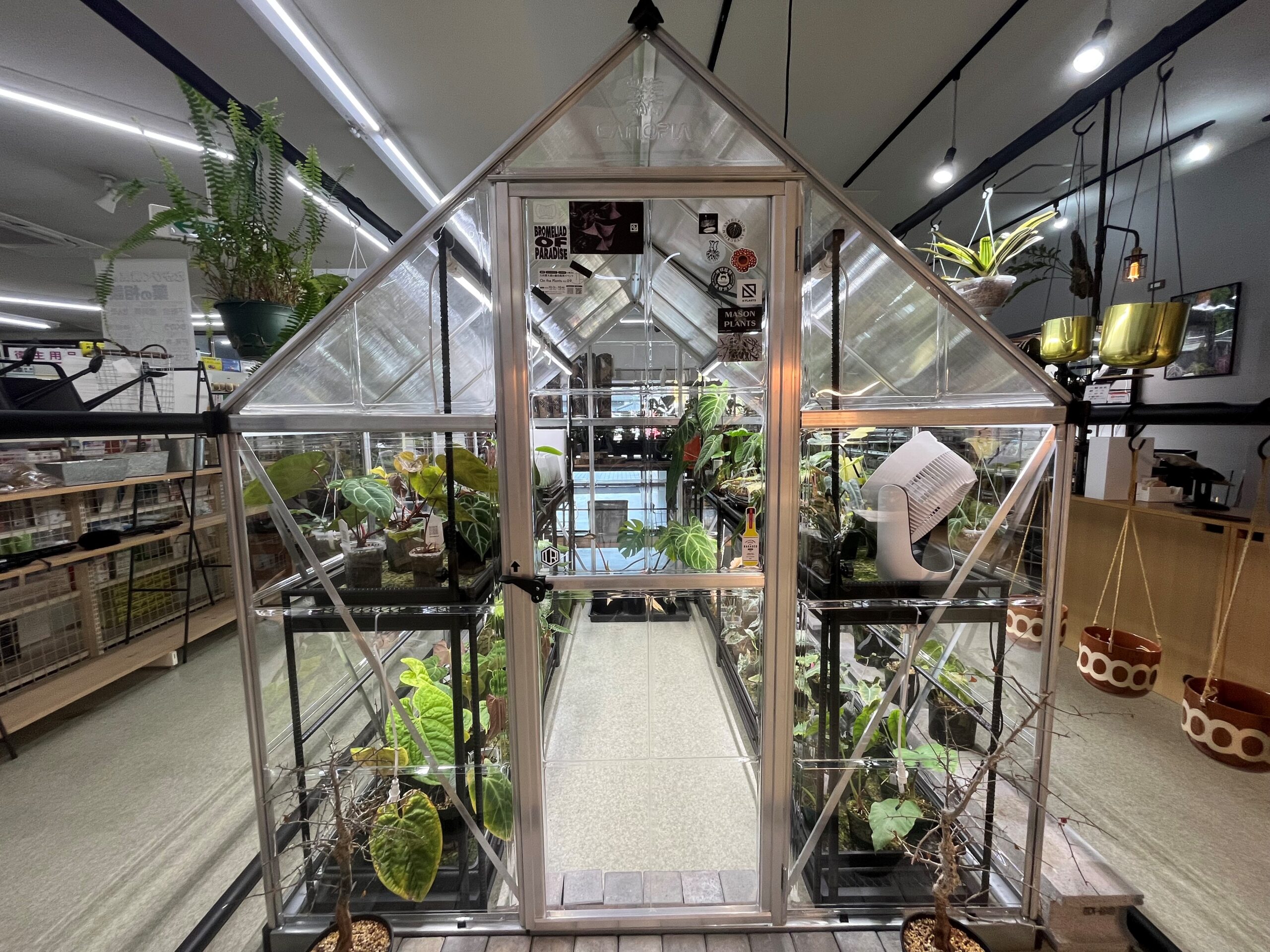 九州植物ショップ紹介｜Secret Bazaar②