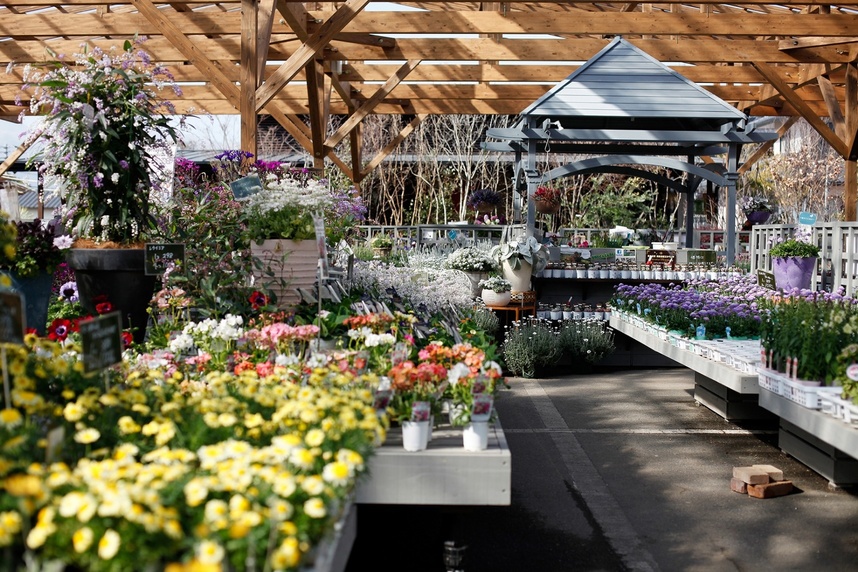 引用：ゆくはし植物園