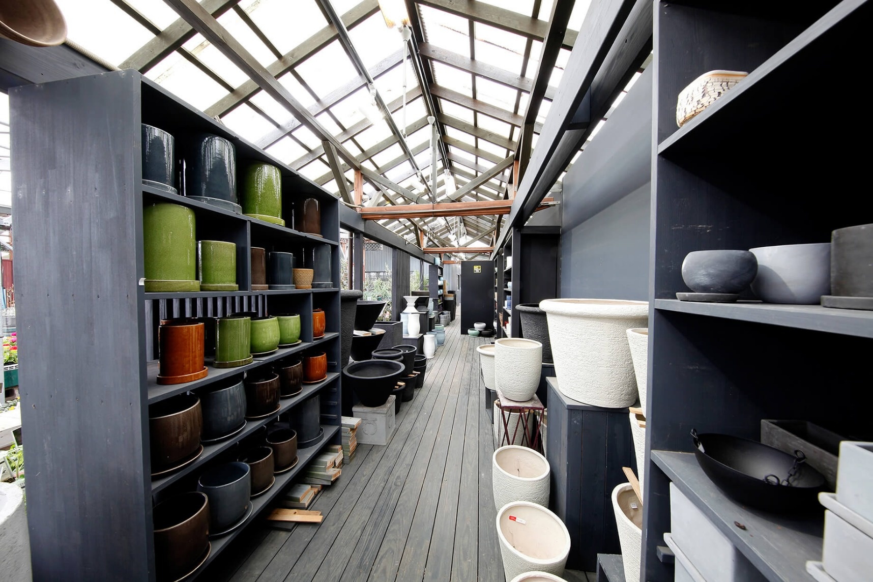 引用：ゆくはし植物園４