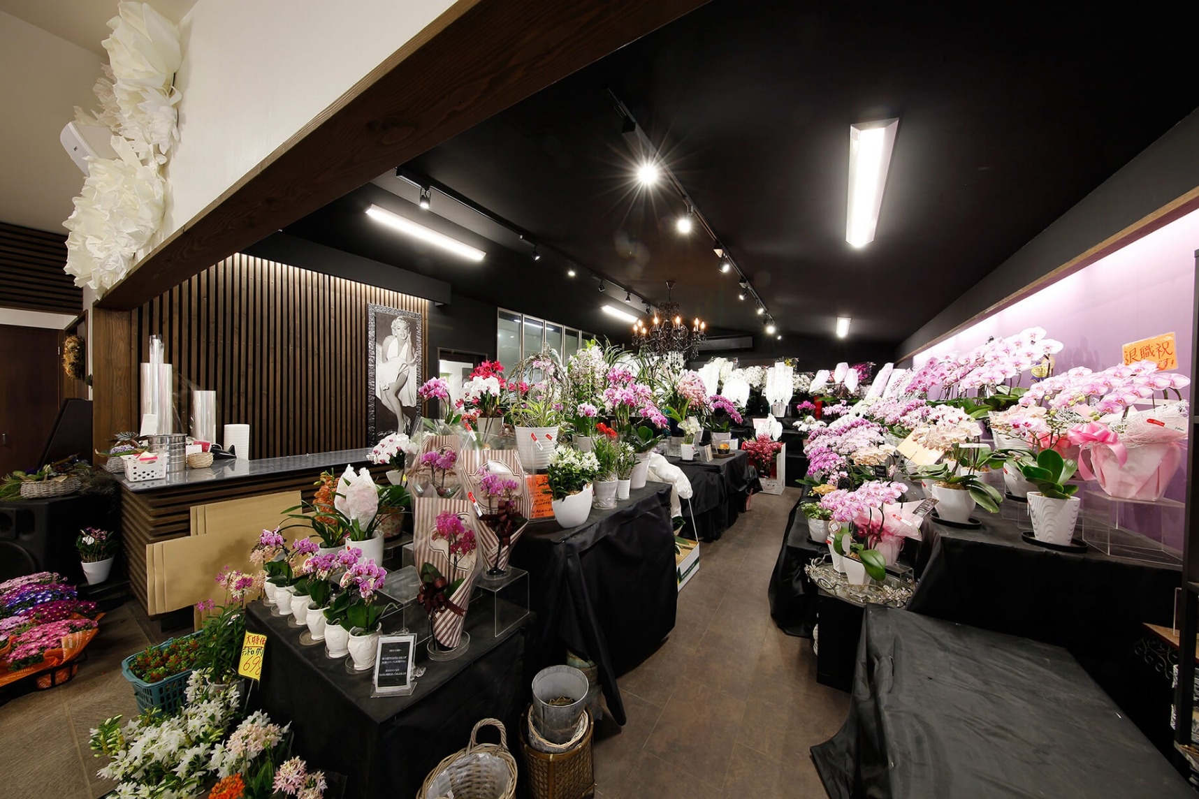 引用：ゆくはし植物園２