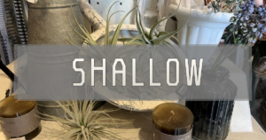 園芸オンラインショップ｜SHALLOW
