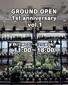 植物イベント紹介｜福岡