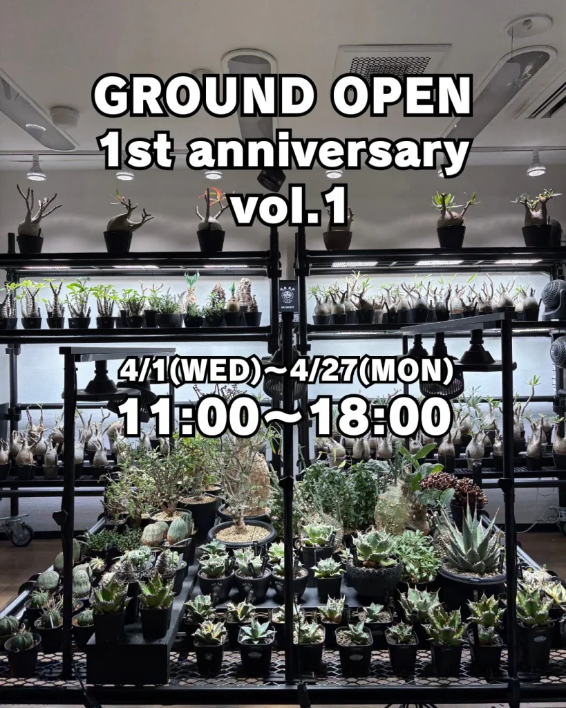 植物イベント紹介｜福岡