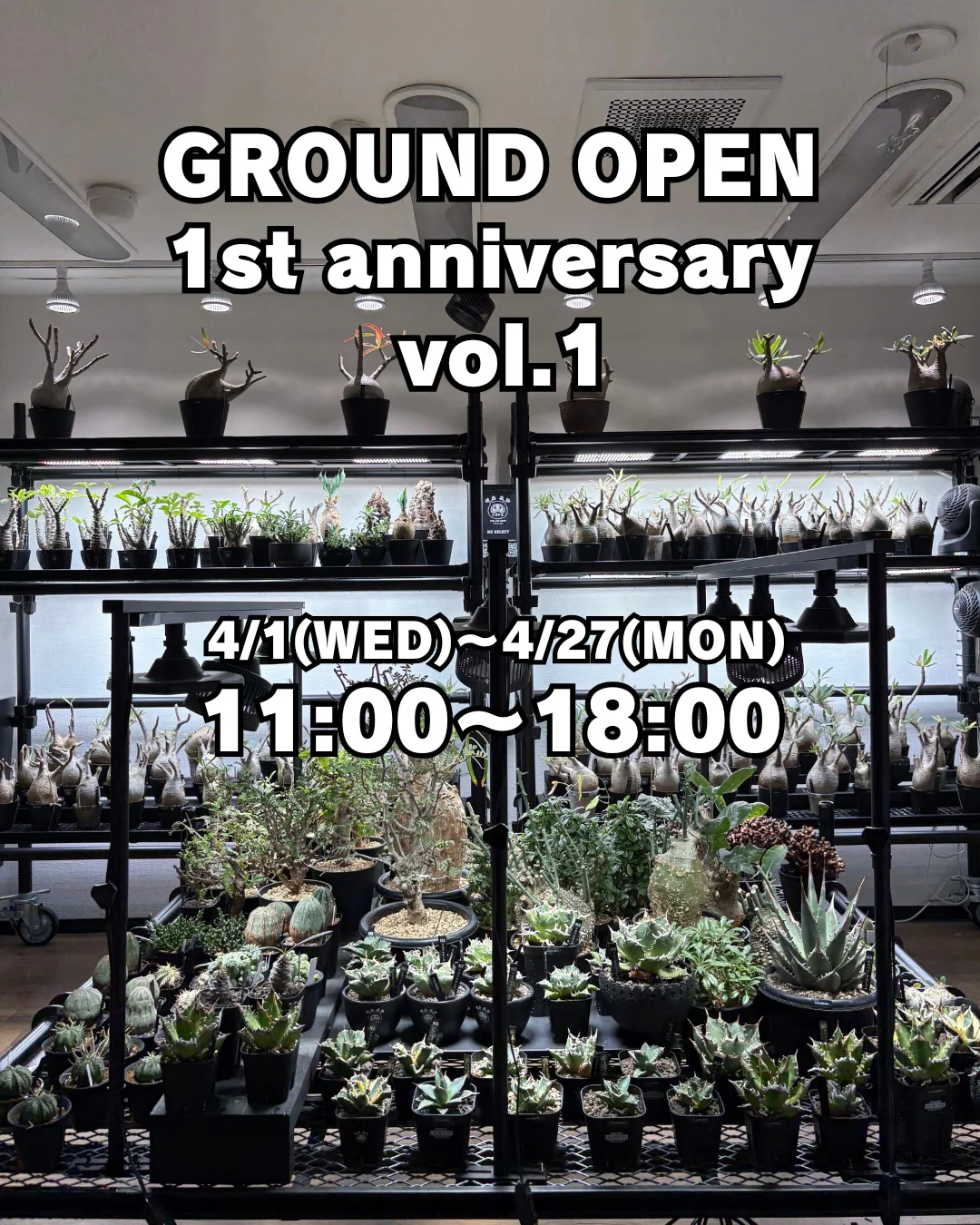 植物イベント紹介｜福岡