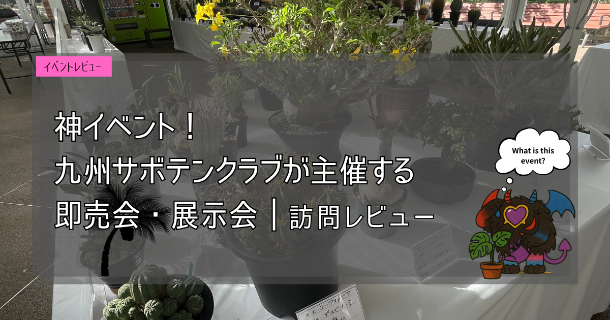 九州植物イベント紹介｜九州サボテンクラブ展示会・即売会