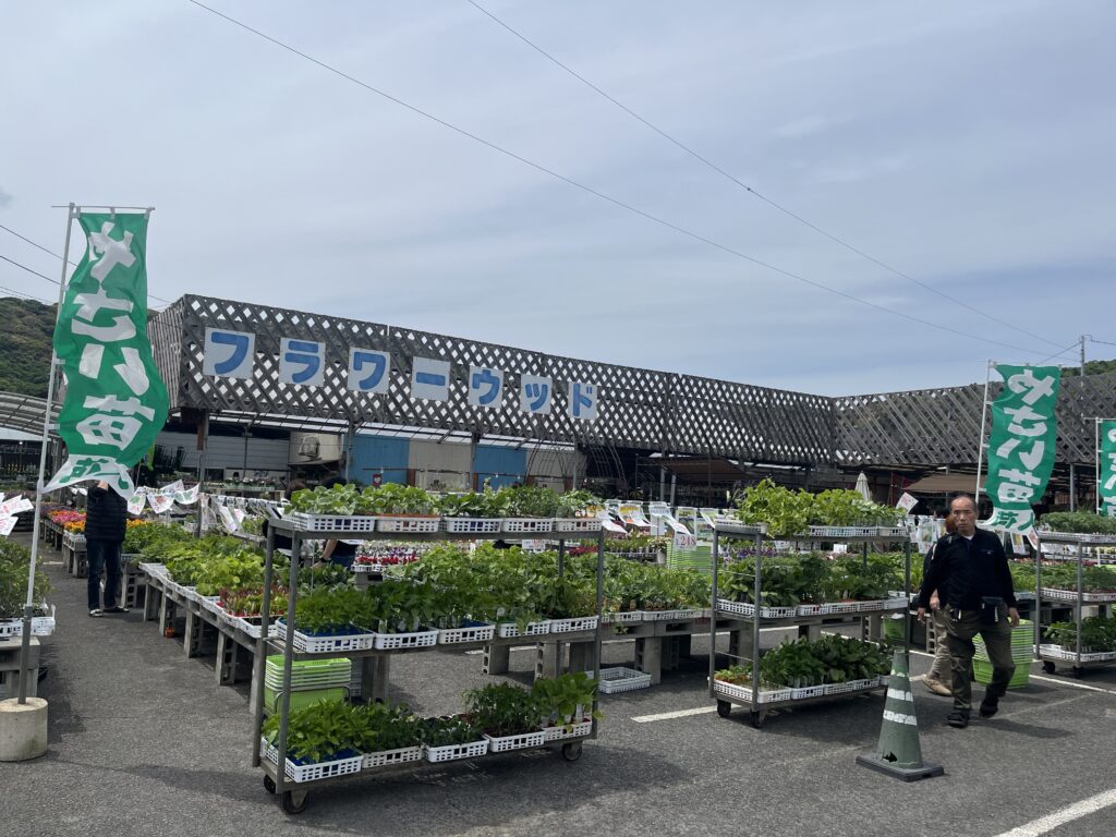 九州植物ショップ紹介｜フラワーウッド