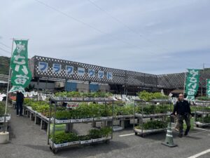九州植物ショップ紹介｜フラワーウッド