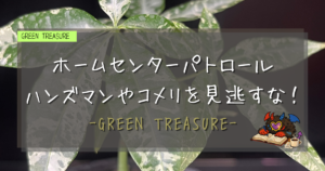GREEN TREASURE｜ホムセン巡回
