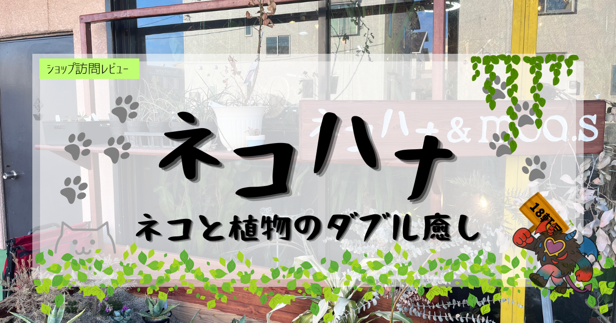 九州植物ショップ紹介｜ネコハナ
