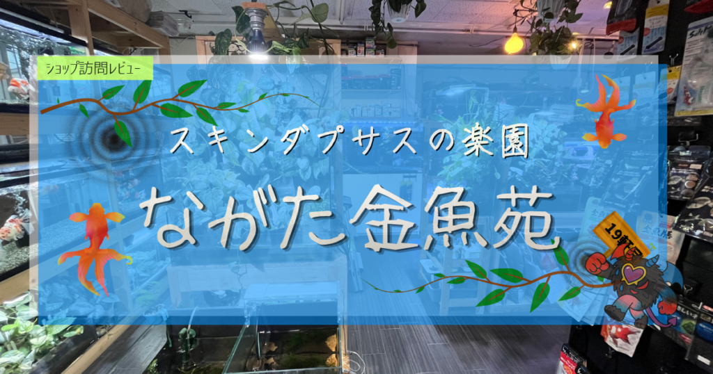 九州植物ショップ紹介｜ながた金魚苑