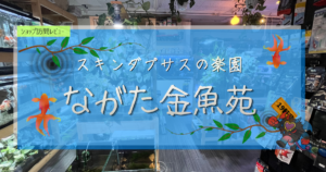 九州植物ショップ紹介｜ながた金魚苑